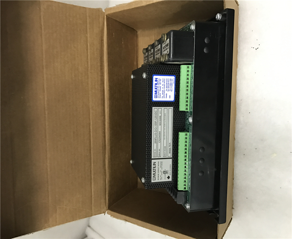 General Electric 269 PLUS-DO-100P-125V Module