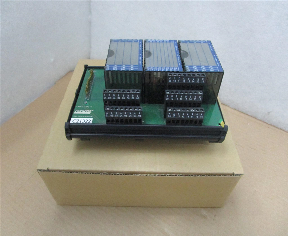 FOXBORO P0916AW Module