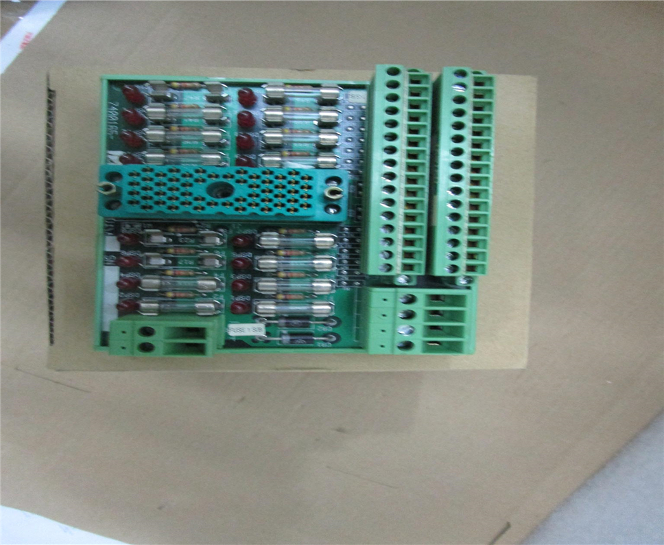 TRICONEX 9561-810 Module