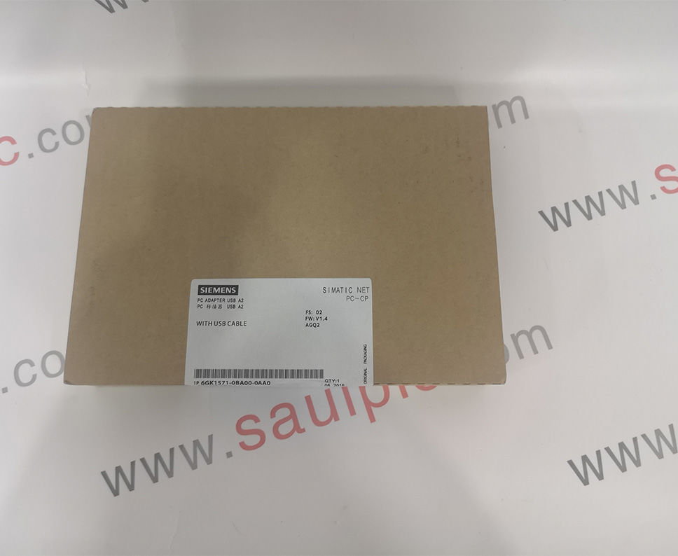 SIEMENS 6DD1607-0AA0 MODULE