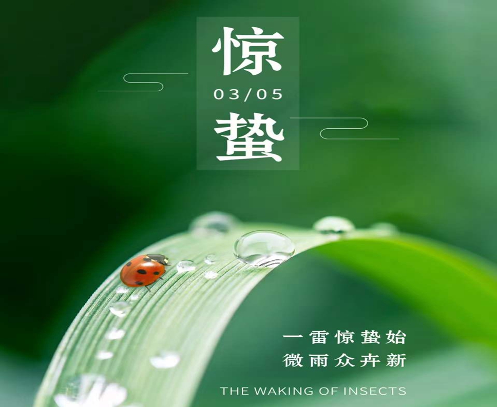 Waking of Insects！