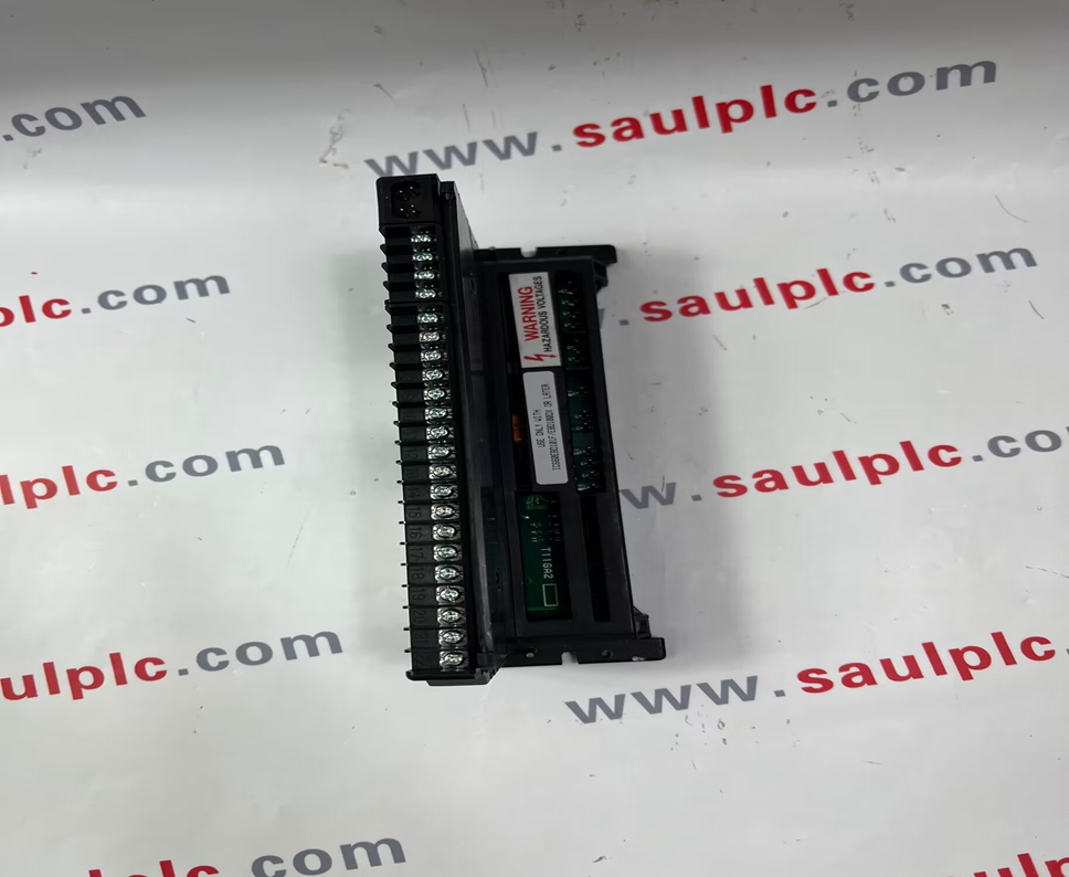 IC660BBS100 GE  Analog module